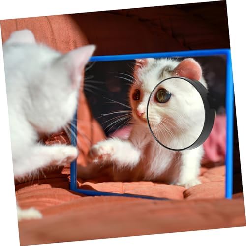DEARMAMY Compact 5x Magnifying Mirror with Suction Cups