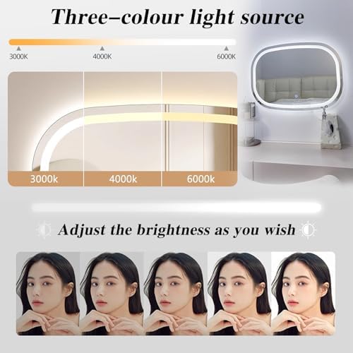 Oval Dimmable LED Vanity Mirror For Wall