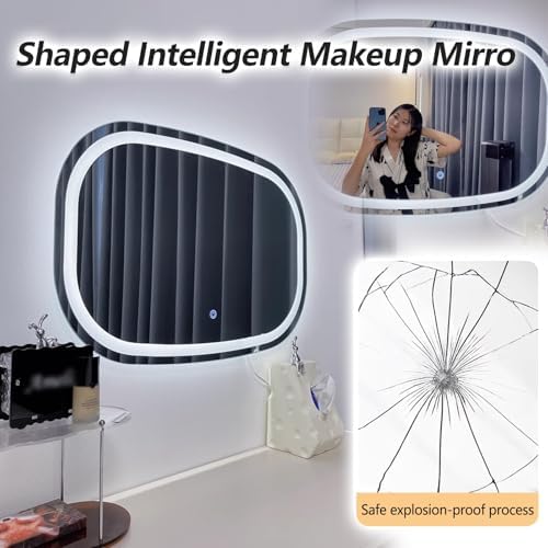 Oval Dimmable LED Vanity Mirror For Wall