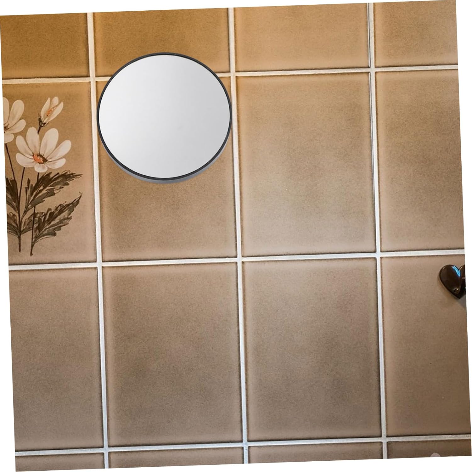 BESTYASH 15x Magnifying Round Mirror with Suction Cups