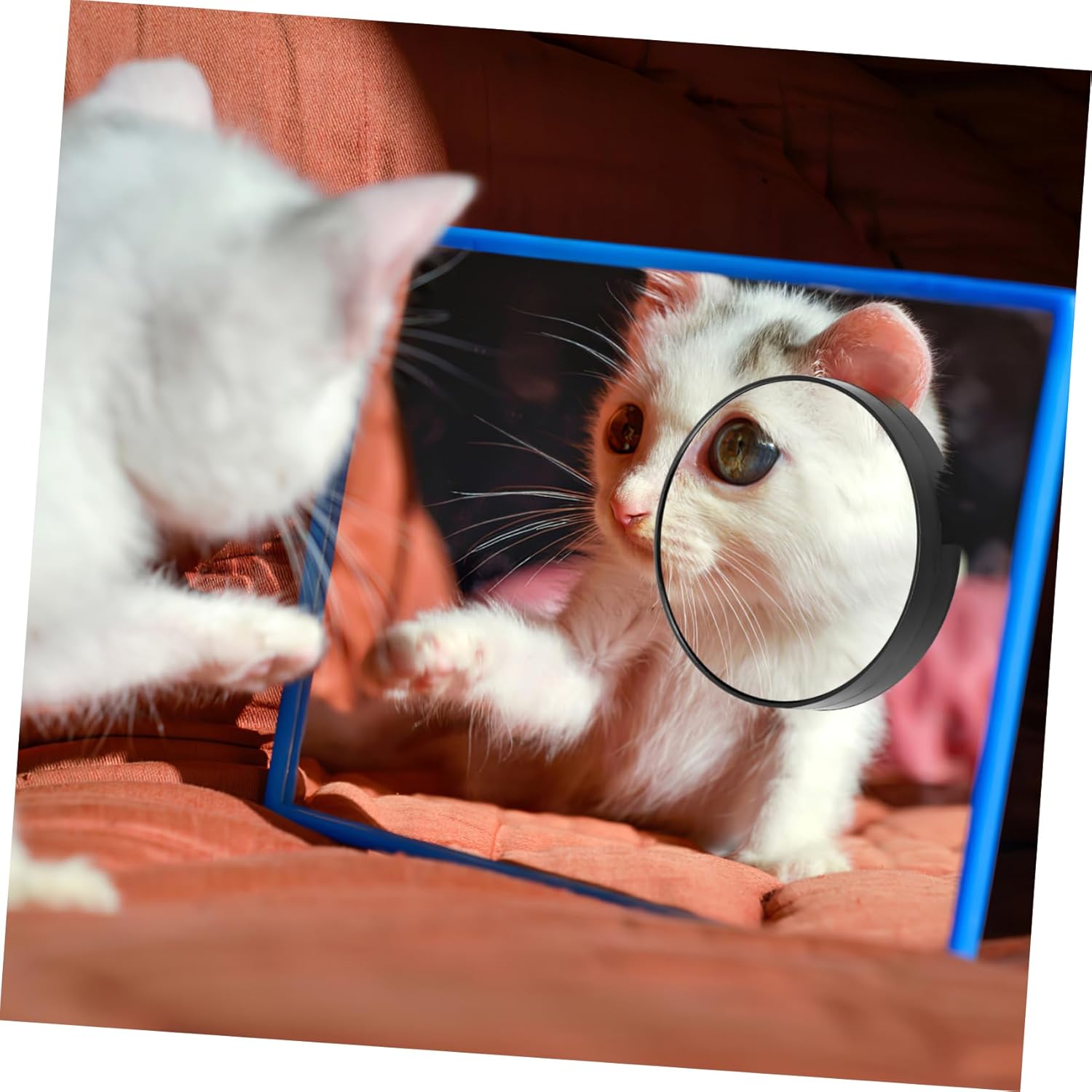 Magnifying Makeup Mirror with Suction Cups for Precision