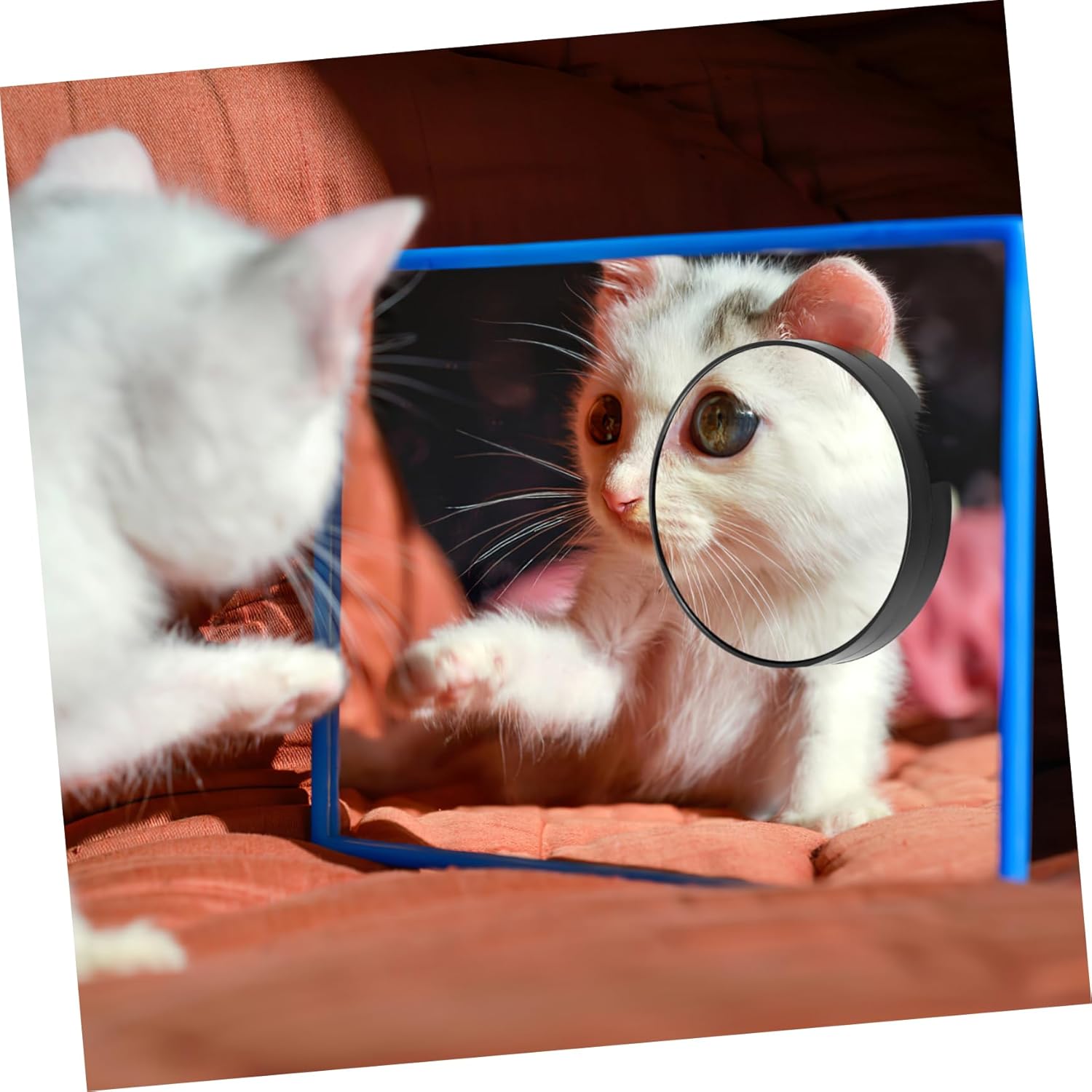 DEARMAMY Compact 5x Magnifying Mirror with Suction Cups