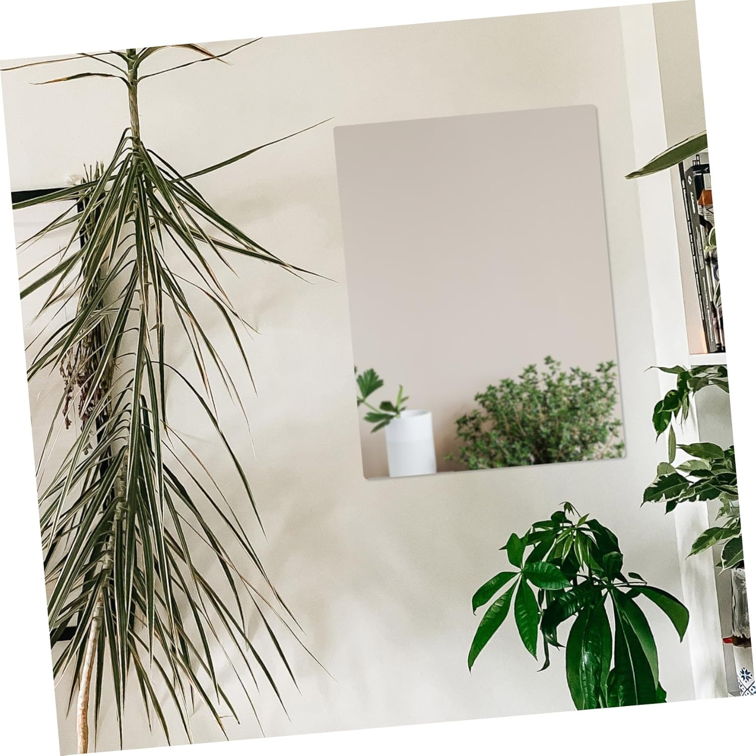 PRETYZOOM Stylish Acrylic Makeup Mirror For Desktop And Wall Use